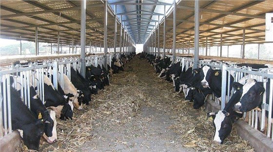 艾思捷定制款PGV035系列減速機--應用在畜牧業、飼料行業 (2).jpg 艾思捷定制款PGV035系列減速機--應用在畜牧業、飼料行業 (2).jpg